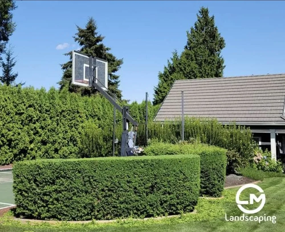 Local lawn care service experts serving Belfair, WA - LM Landscaping