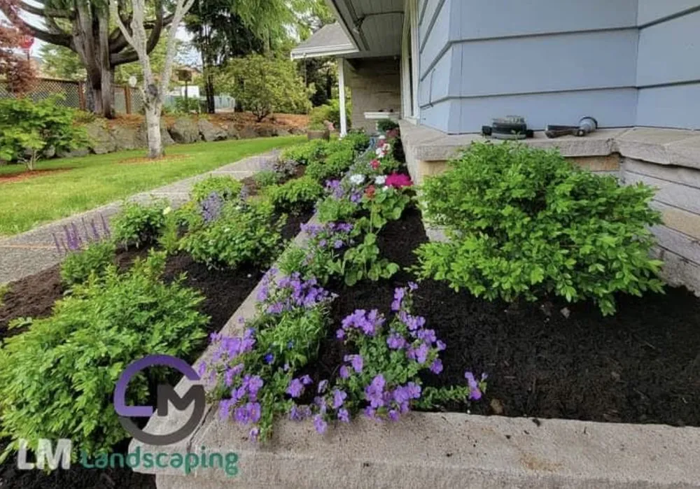 Custom yard cleanup service in Belfair, WA by LM Landscaping