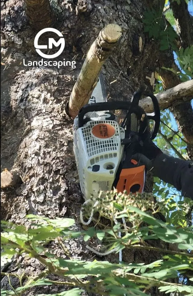 Professional lawn mowing service in Belfair, WA - LM Landscaping