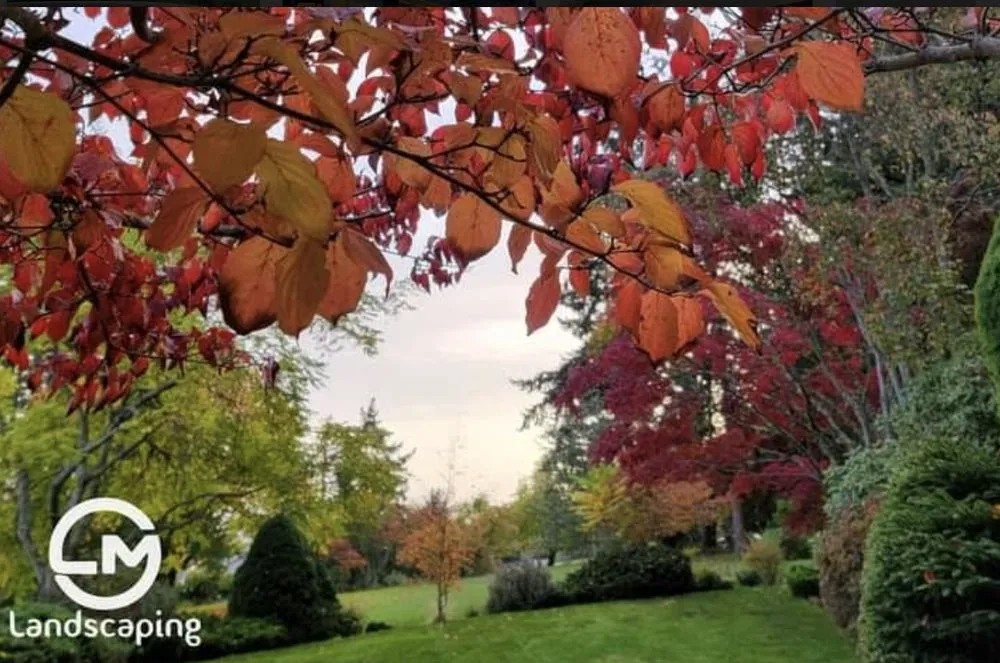 Reliable lawn care service in Belfair, WA by LM Landscaping