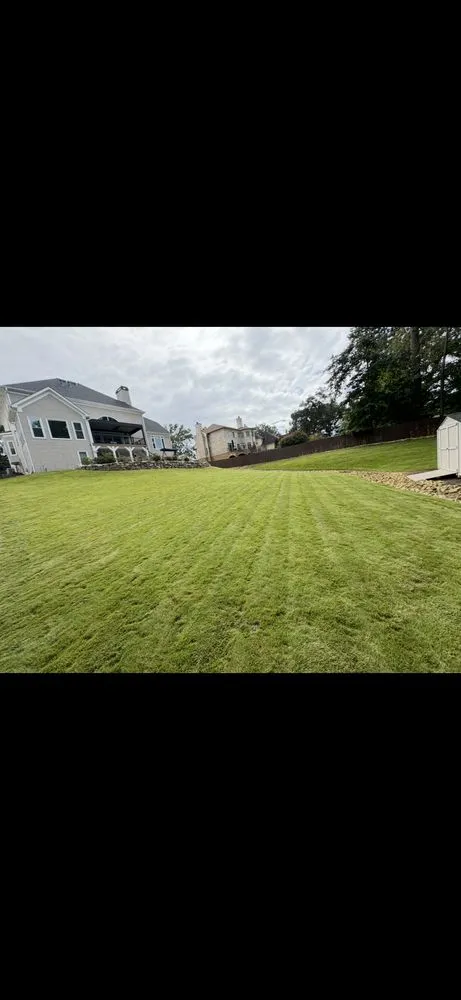 Custom yard cleanup service for year-round maintenance across Cumming, GA - LM Landscaping