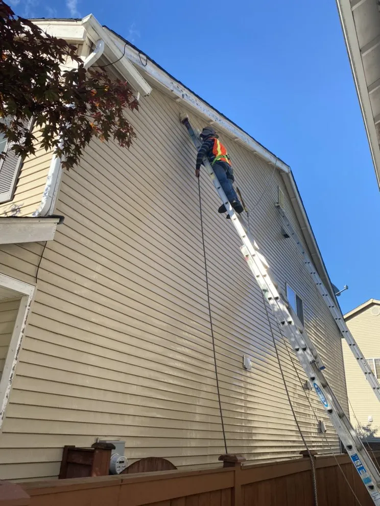 Top-rated yard cleanup service experts serving Everett, WA - L&M Landscaping