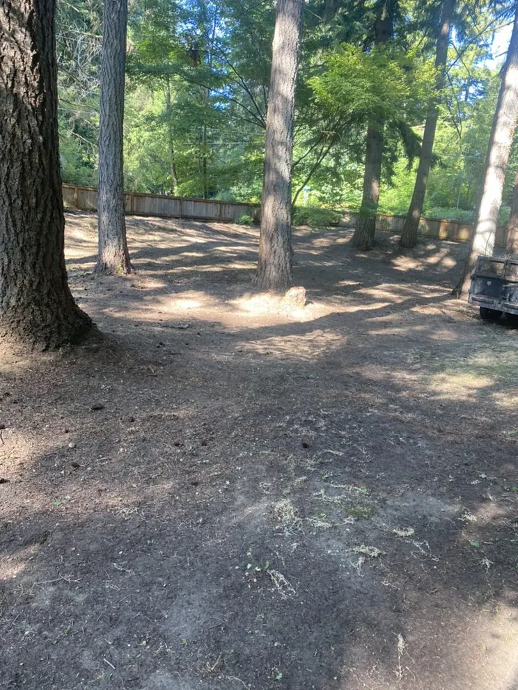 Top-rated garden landscaping for residential properties in Everett, WA by L&M Landscaping