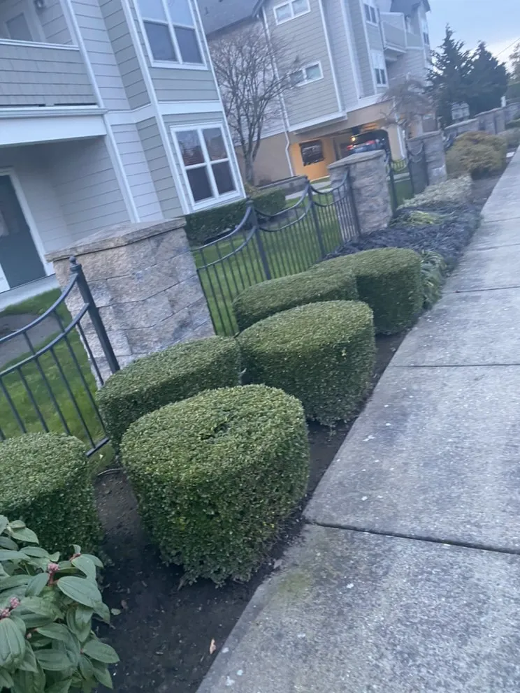 Reliable lawn mowing service for outdoor upgrades in Everett, WA by L&M Landscaping