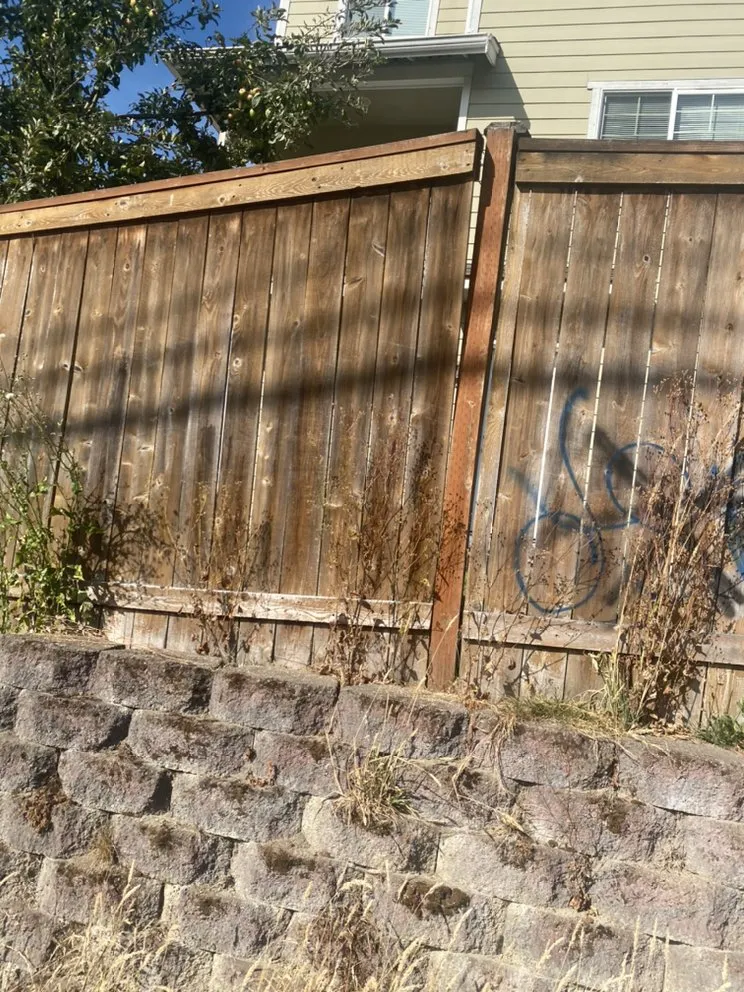 Top-rated landscaping services near you in Everett, WA by L&M Landscaping