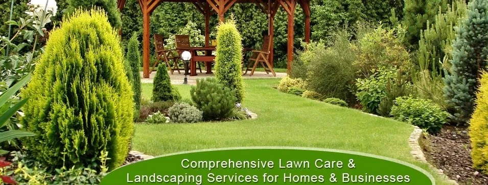 Reliable yard maintenance in Conway, SC by L&M Lawn Service
