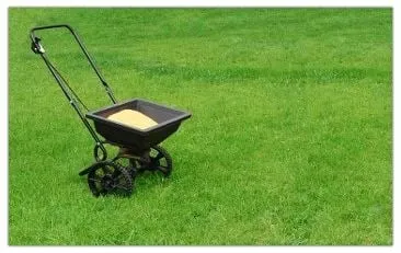 Top-rated landscaping services in Conway, SC by L&M Lawn Service