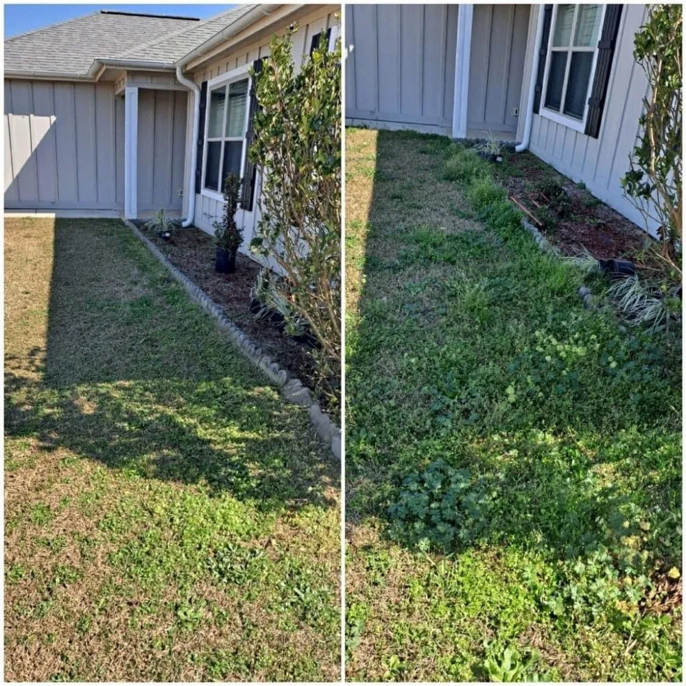 Professional lawn mowing service in Robertsdale, AL - Lm Lawn Service