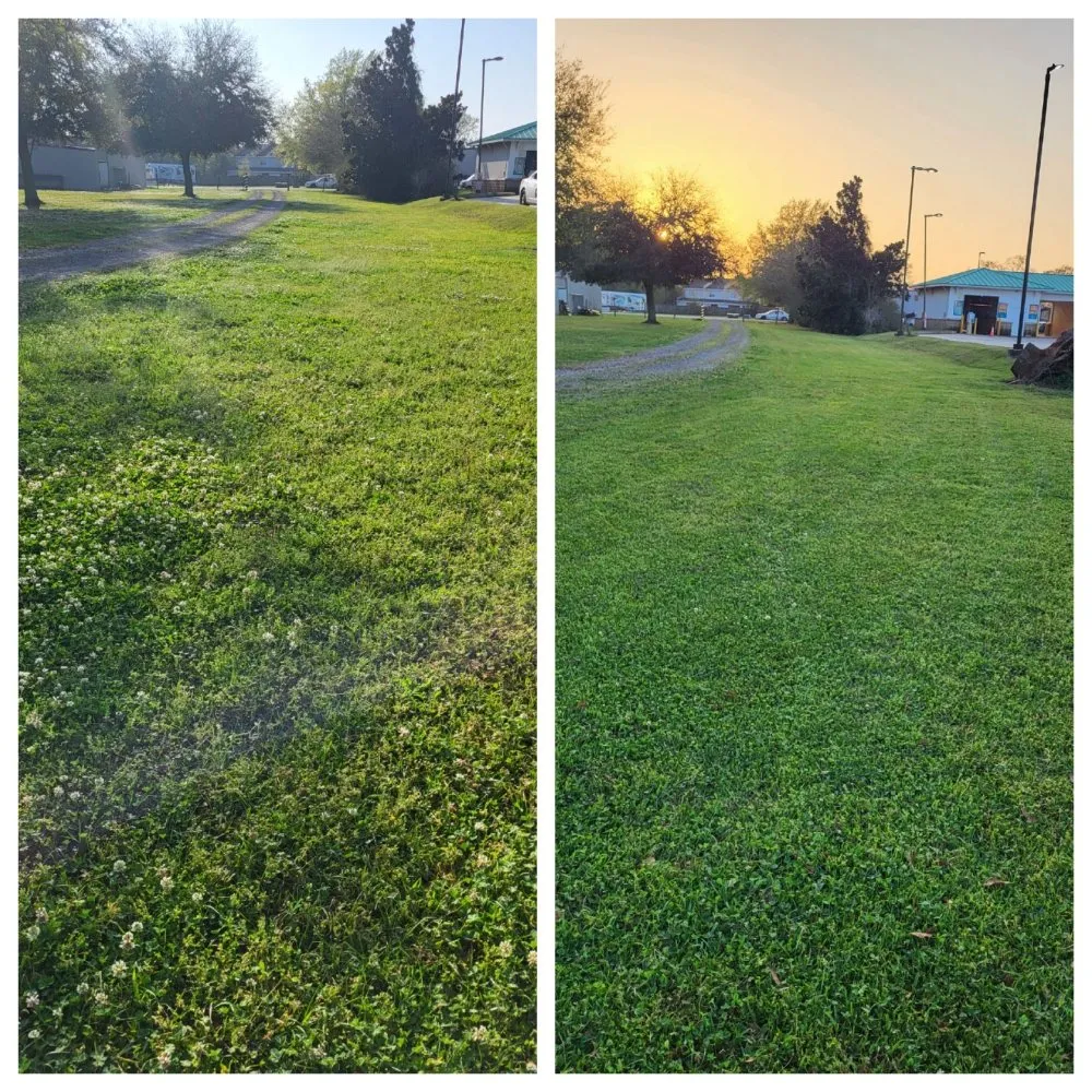 Custom landscape installation in Robertsdale, AL - Lm Lawn Service