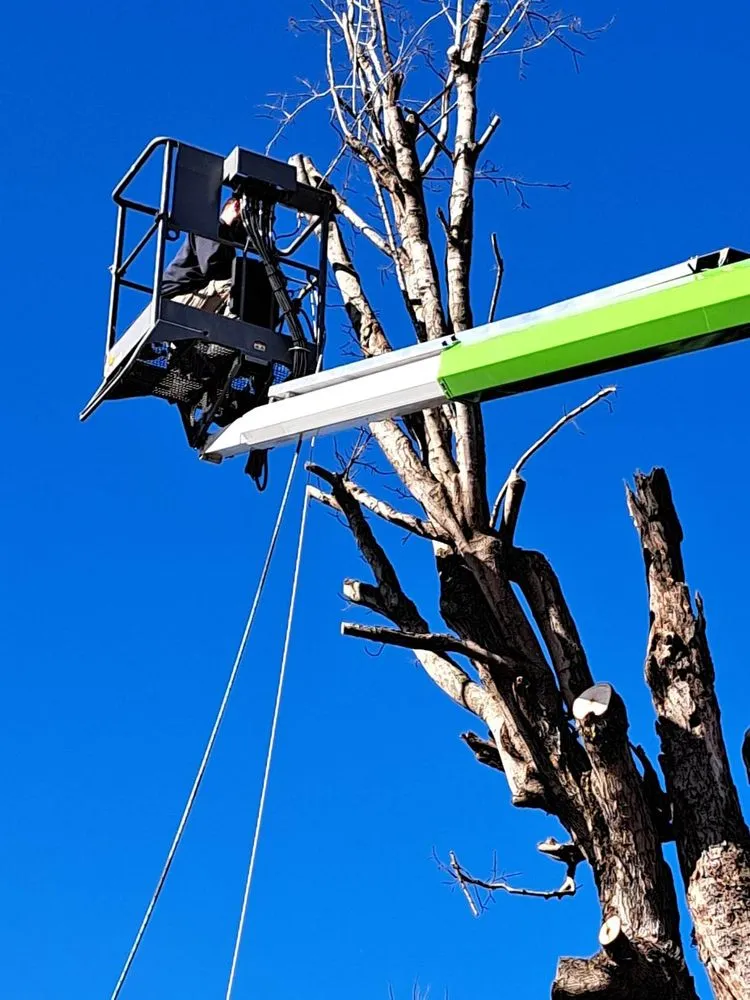 Reliable outdoor landscaping for outdoor upgrades across Smyrna, TN - L&M lawncare and tree service