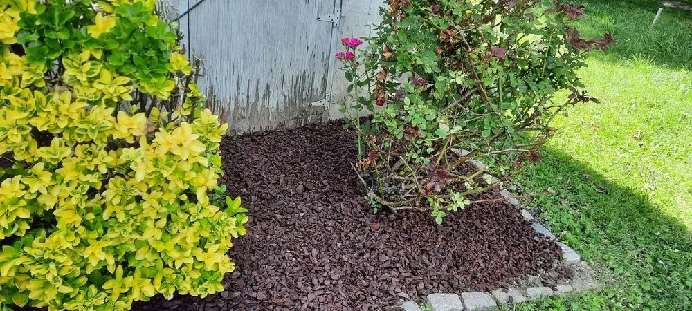 Top-rated lawn mowing service for residential properties in Smyrna, TN by L&M lawncare and tree service