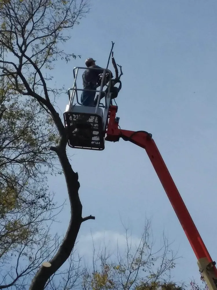 Trusted landscaping services in Smyrna, TN - L&M lawncare and tree service