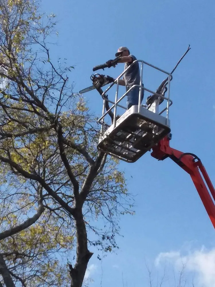 Reliable landscaping services for year-round maintenance across Smyrna, TN - L&M lawncare and tree service