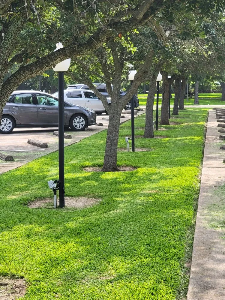 Trusted yard cleanup service in Freeport, TX by LM Lawns