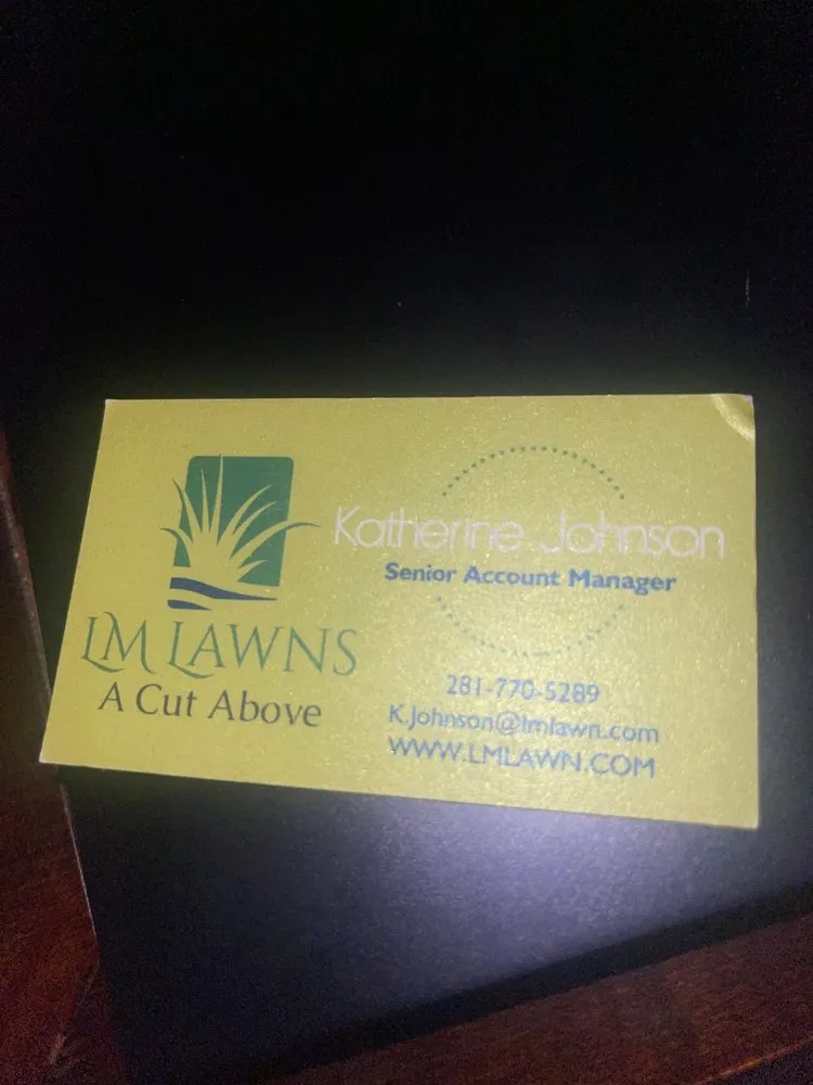 Professional yard cleanup service for beautiful yards in Freeport, TX by LM Lawns