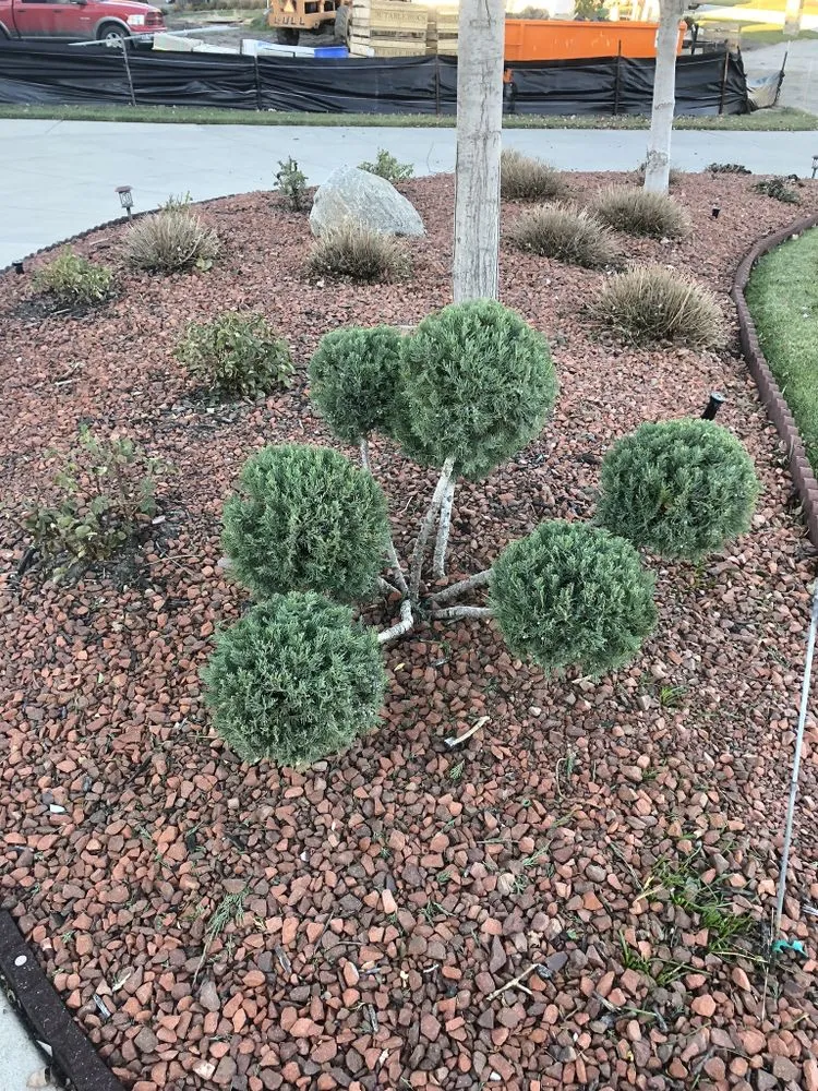 Local residential landscaping experts serving Fremont, NE - LM Mowing