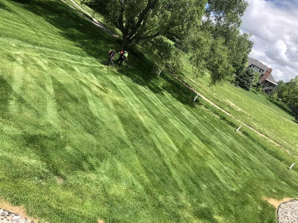 Professional landscape design near you across Fremont, NE - LM Mowing