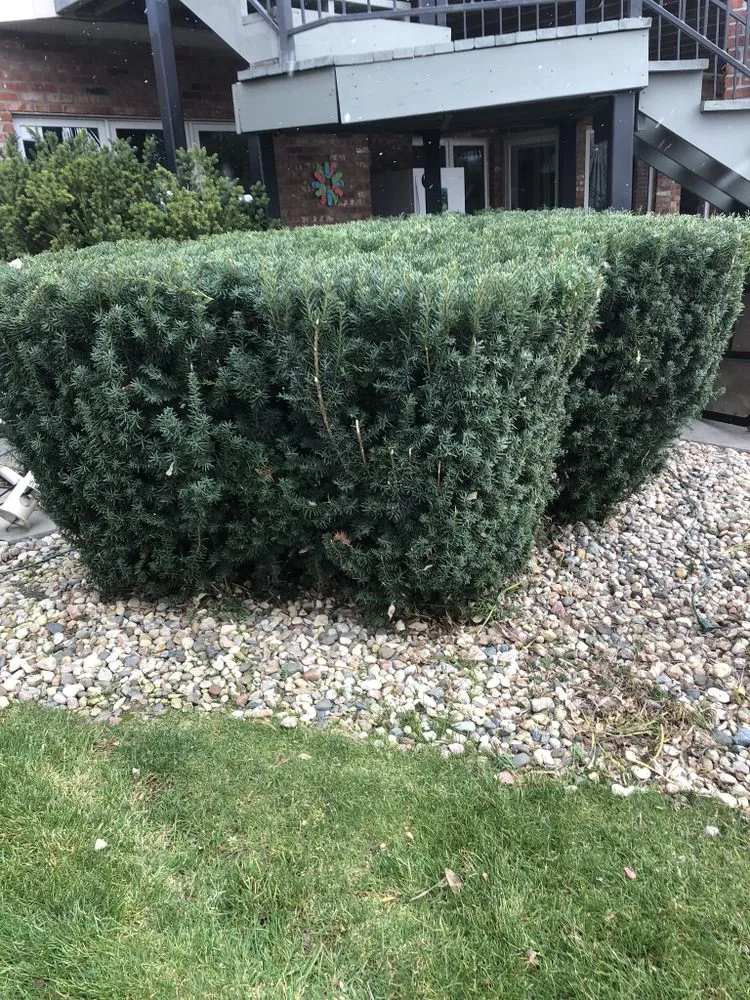 Professional residential landscaping for beautiful yards across Fremont, NE - LM Mowing