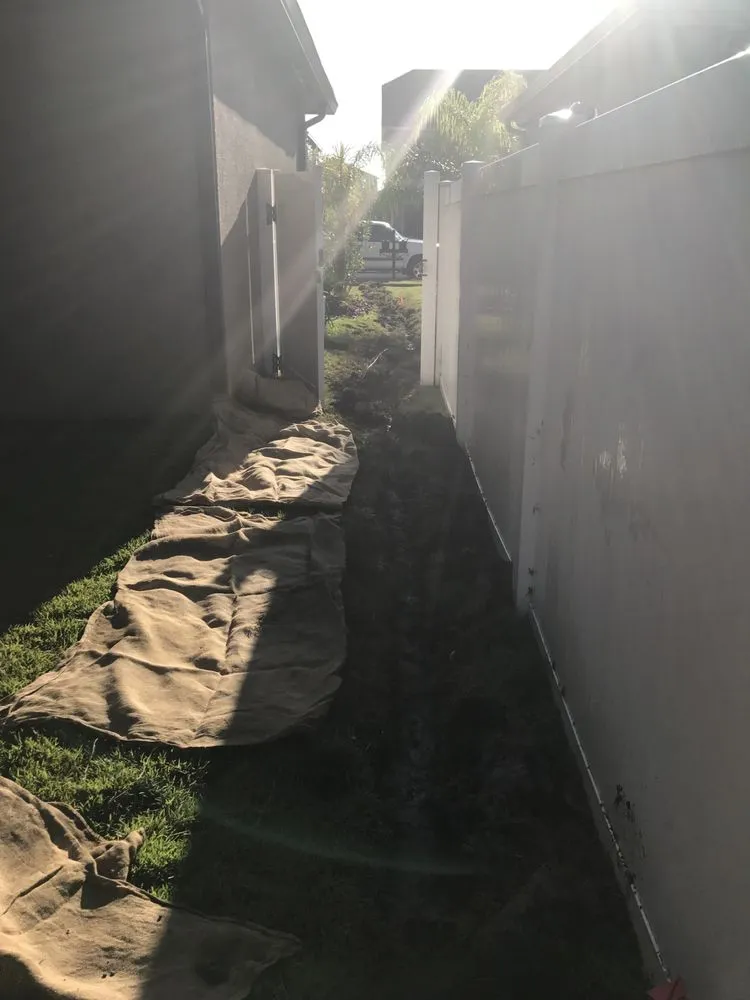 Top-rated lawn care service in Tampa, FL by LM Vega lawn service