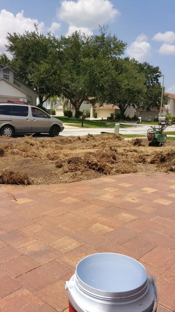 Expert landscape design in Tampa, FL by LM Vega lawn service