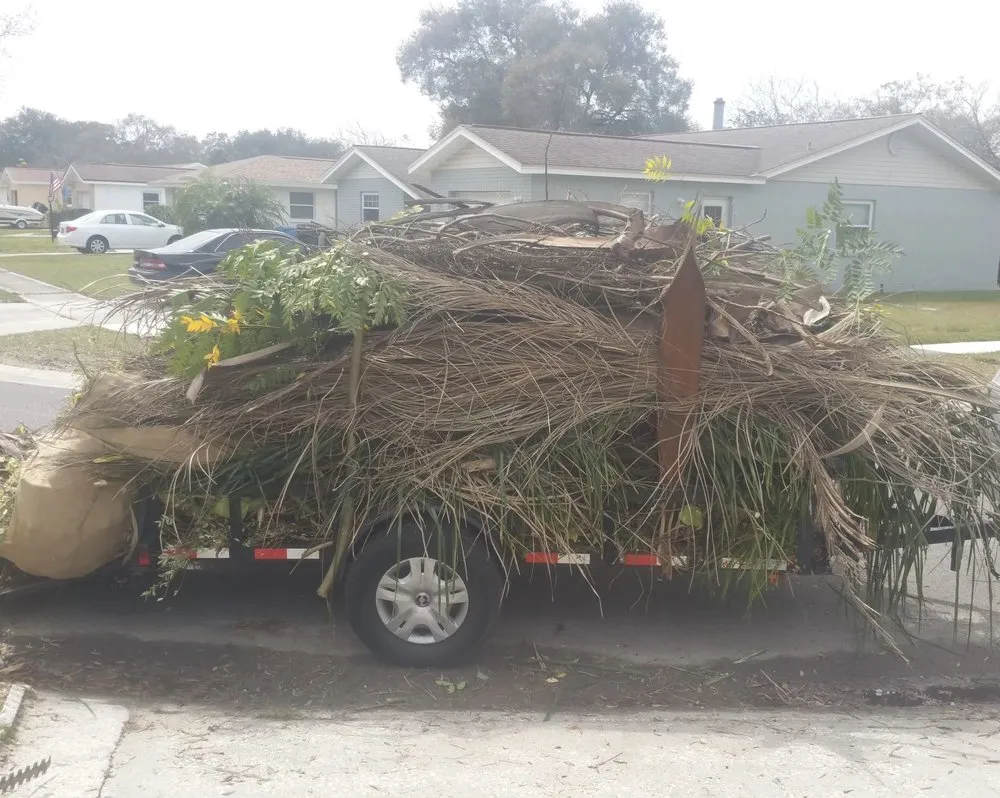 Custom landscape installation near you across Tampa, FL - LM Vega lawn service