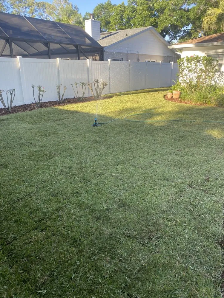 Top-rated lawn care service in Tampa, FL by LM Vega lawn service