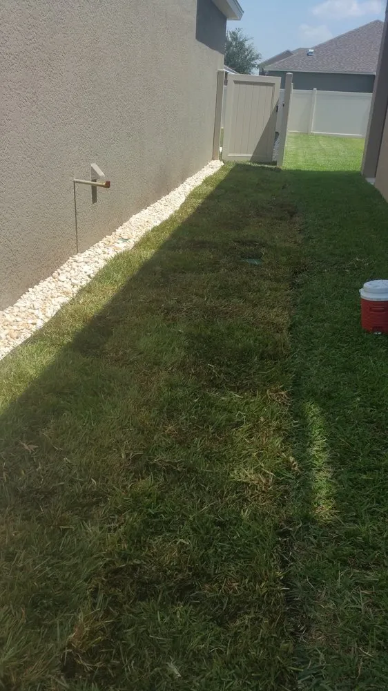 Expert outdoor landscaping near you in Tampa, FL by LM Vega lawn service