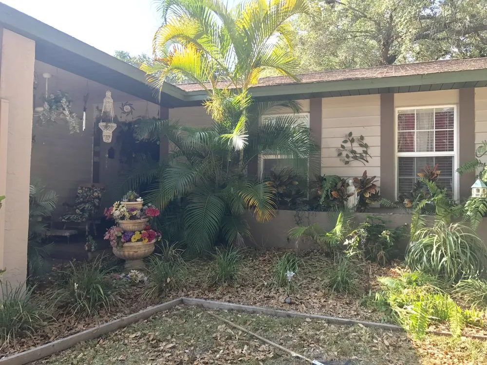 Professional residential landscaping in Tampa, FL by LM Vega lawn service