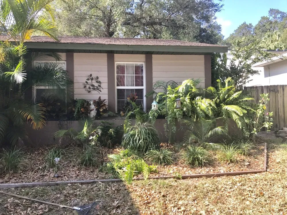 Professional yard maintenance experts serving Tampa, FL - LM Vega lawn service