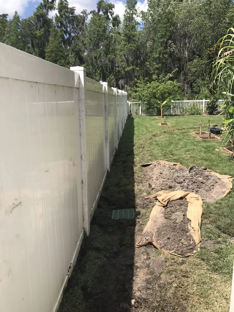 Expert yard cleanup service for homes across Tampa, FL - LM Vega lawn service