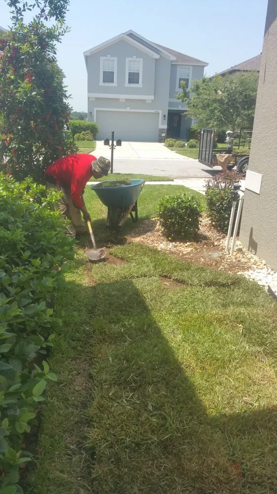 Expert landscaping services experts serving Tampa, FL - LM Vega lawn service