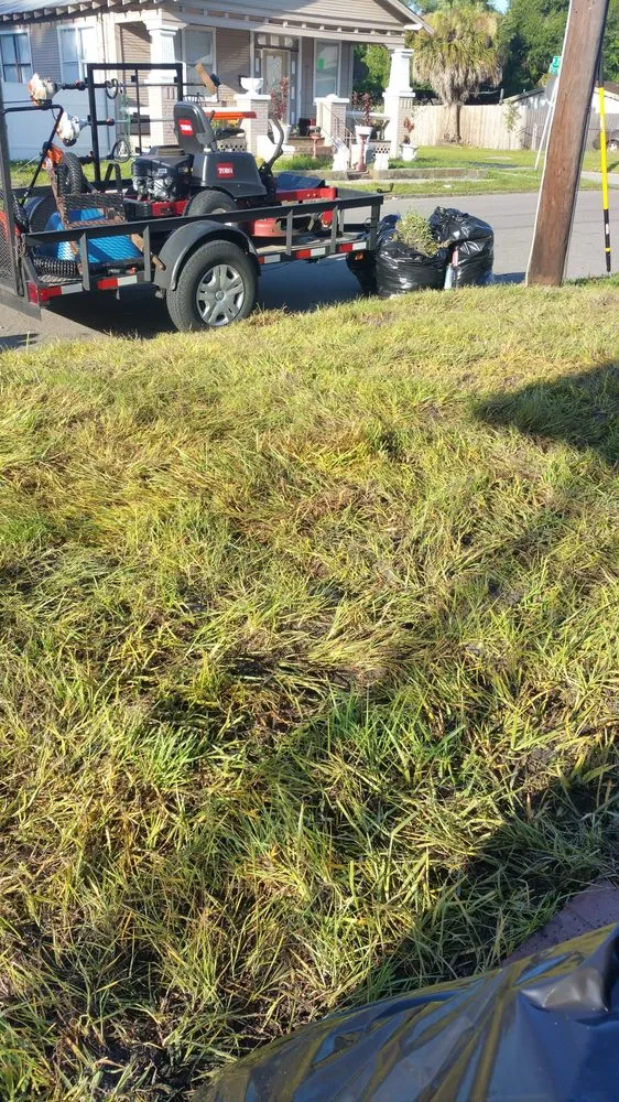 Top-rated yard cleanup service for outdoor upgrades across Tampa, FL - LM Vega lawn service
