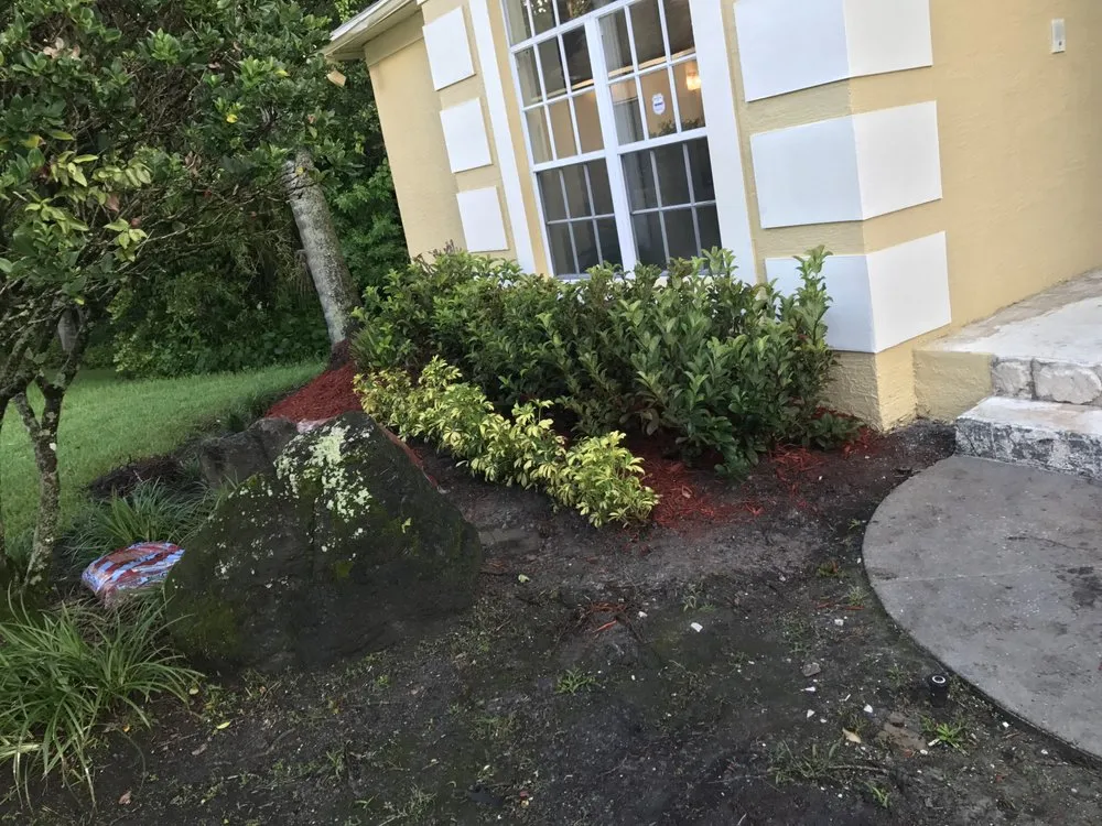 Professional lawn care service in Tampa, FL - LM Vega lawn service