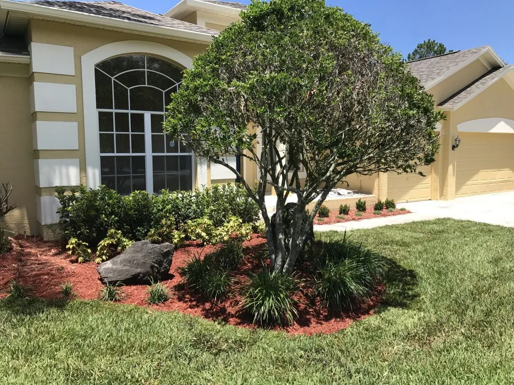 Professional landscape design near you across Tampa, FL - LM Vega lawn service