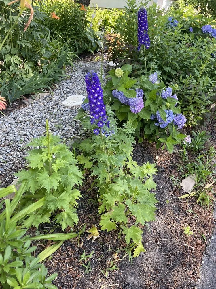 Trusted outdoor landscaping in Belmar, NJ by LMB landscaping