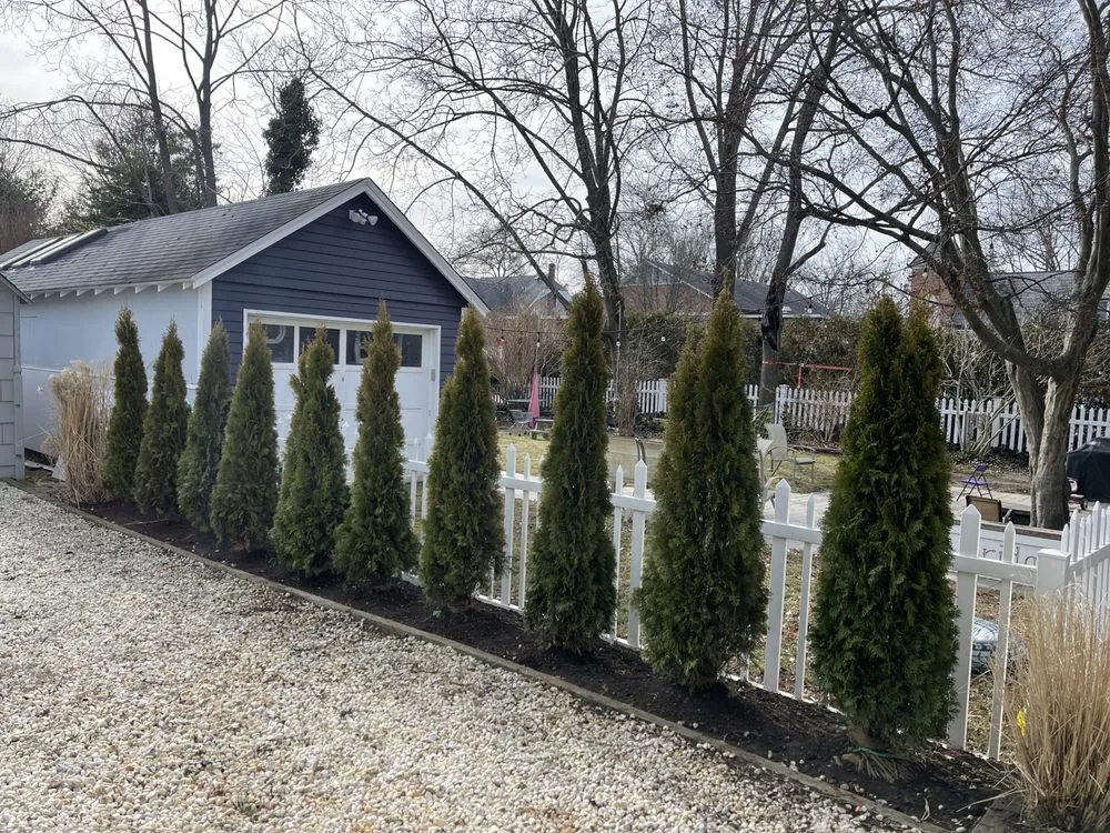 Reliable yard maintenance in Belmar, NJ by LMB landscaping