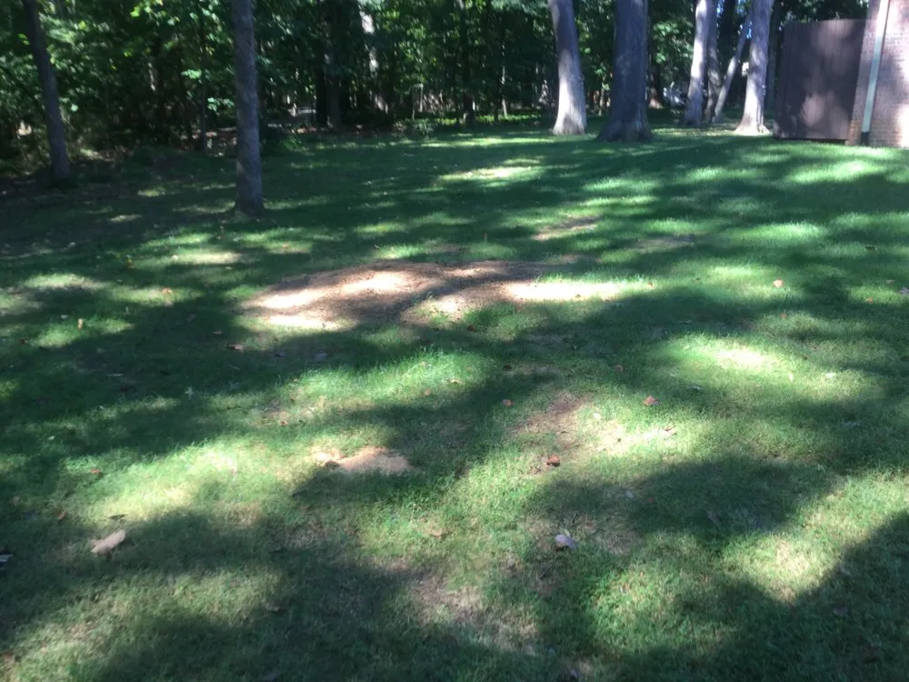 Affordable lawn mowing service experts serving Gwynn Oak, MD - Lmc Landscaping