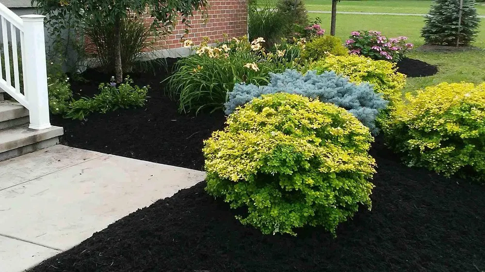 Trusted residential landscaping for homes across North Tonawanda, NY - LMG property management Call My Gardener