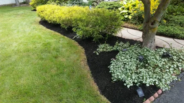 LMG property management Call My Gardener Logo