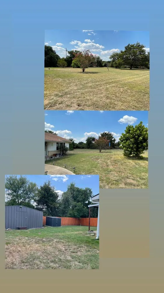 Affordable residential landscaping experts serving Waco, TX - LMG Solutions