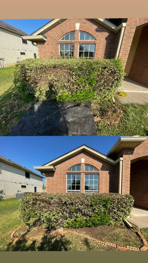 Trusted residential landscaping in Waco, TX - LMG Solutions