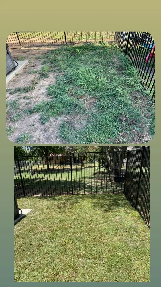 Expert garden landscaping experts serving Waco, TX - LMG Solutions