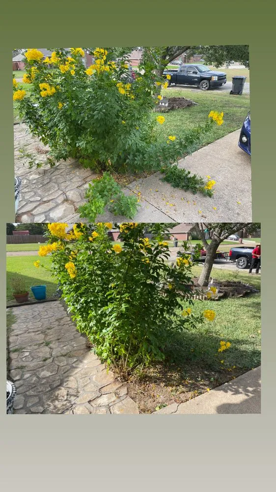 Local lawn mowing service for residential properties across Waco, TX - LMG Solutions