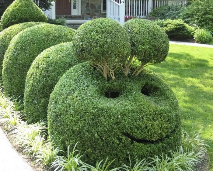 Professional yard cleanup service with custom design in Marshfield, MA by LMP Landscaping Cleaning