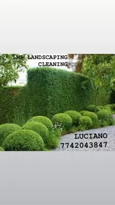 LMP Landscaping Cleaning Logo