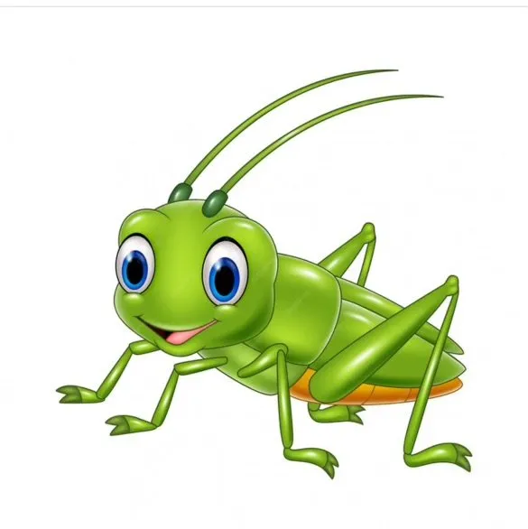 Custom lawn care service experts serving Quakertown, PA - LMS Duran Lanscaping