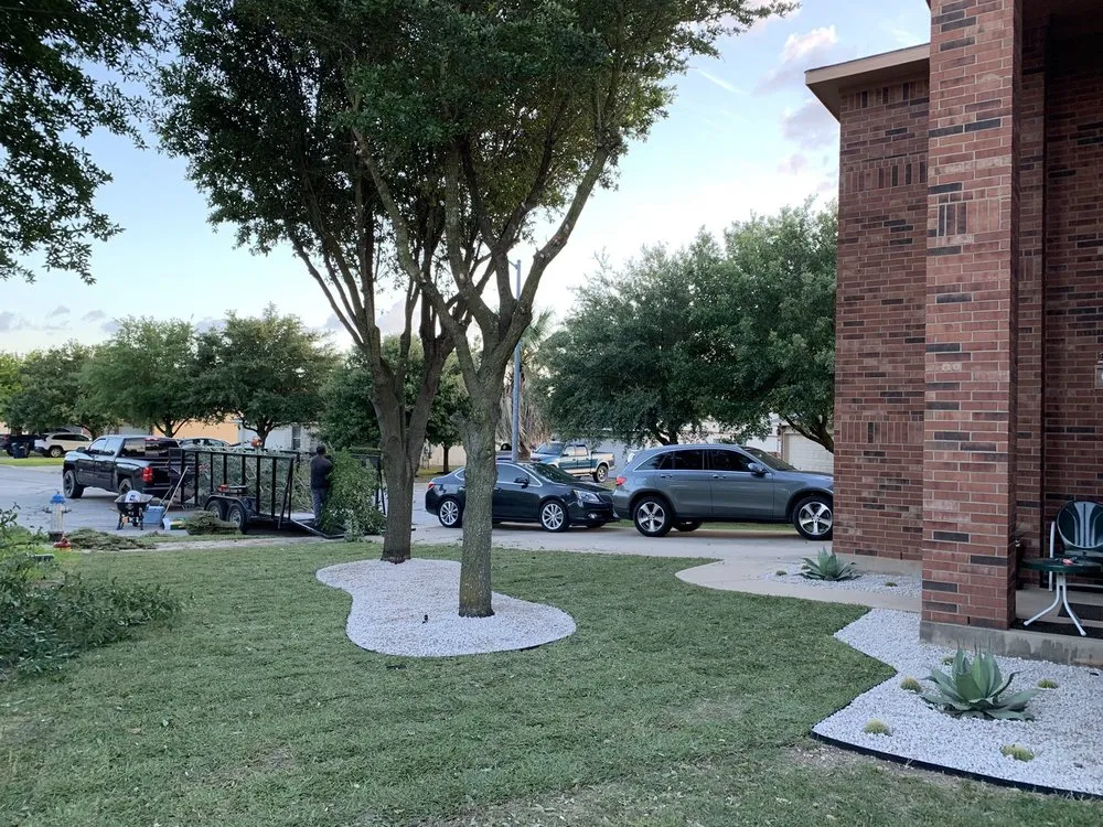 Custom lawn mowing service in Austin, TX by Lms Landscaping & Tree service