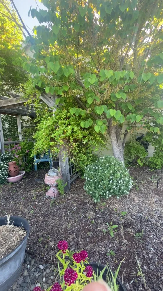 Affordable garden landscaping for beautiful yards across Roseburg, OR - L&Ms Landscaping