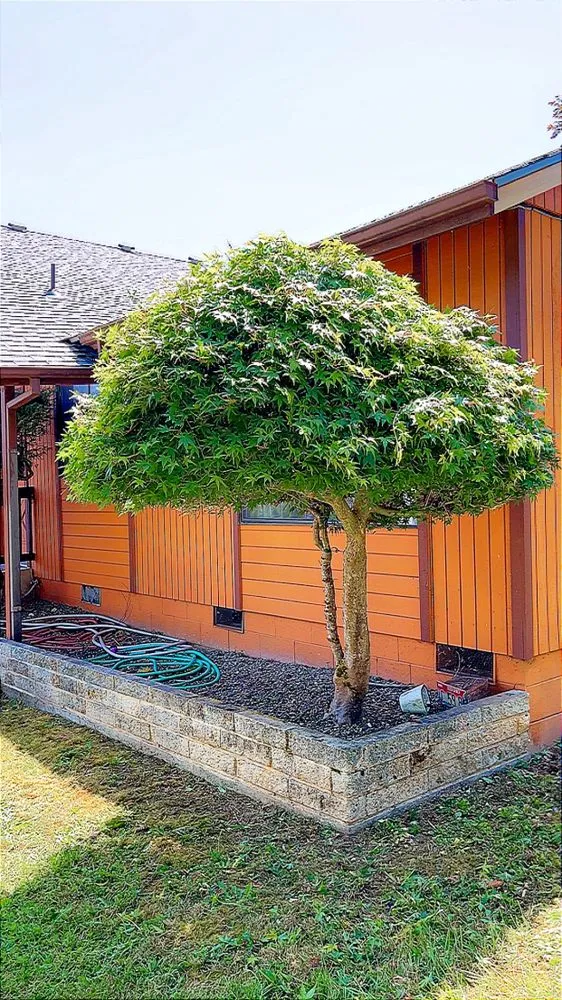 Custom garden landscaping for residential properties in Roseburg, OR by L&Ms Landscaping