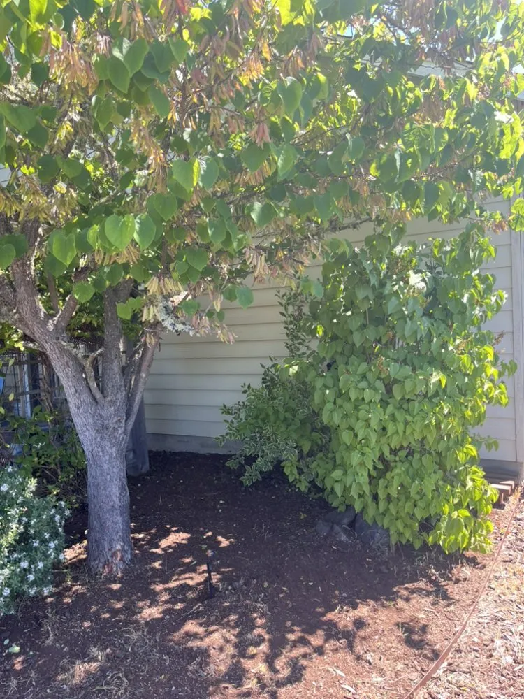 Trusted landscape design experts serving Roseburg, OR - L&Ms Landscaping